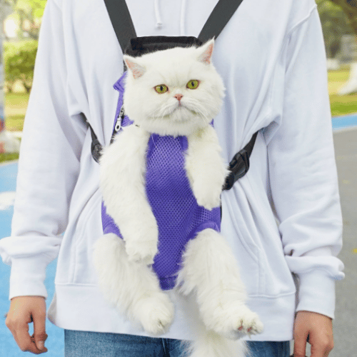 canguro para perritos pequeños y gatos